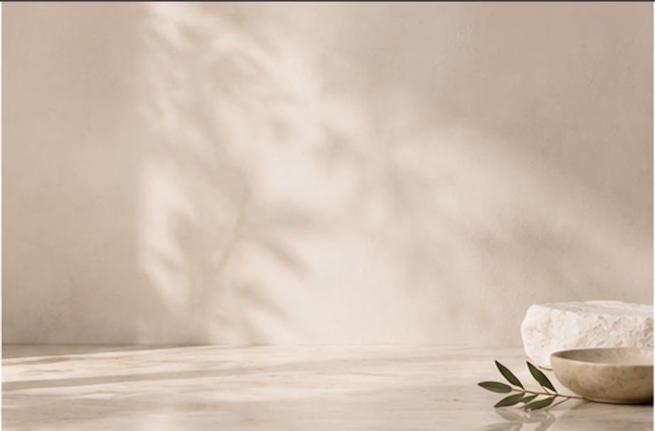 A plaster wall in afternoon light with a stone block and an olive sprig.